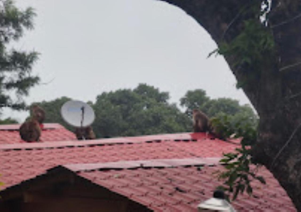 Kaas Woods Resort Yavateshwar Satara Dış mekan fotoğraf