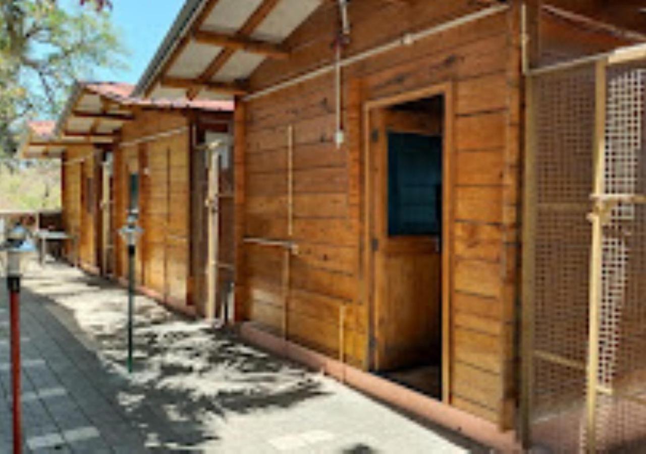 Kaas Woods Resort Yavateshwar Satara Dış mekan fotoğraf